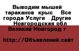 Выводим мышей ,тараканов, крыс. - Все города Услуги » Другие   . Новгородская обл.,Великий Новгород г.